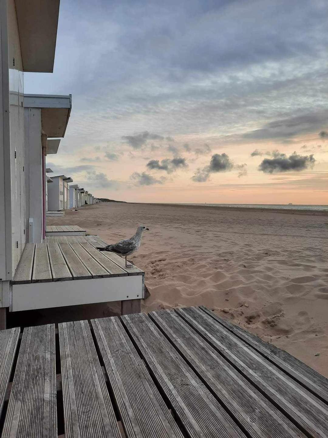 Calais Plage-Gare Appartement Elegant Tout Equipe Extérieur photo